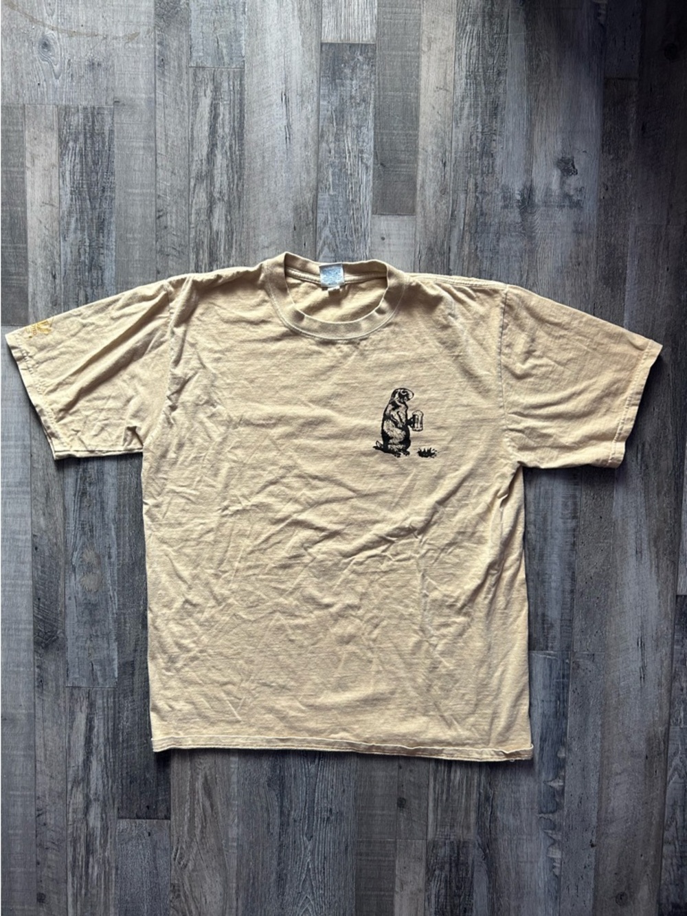 Men's Cream Short-Sleeve Graphic Tee with Small Chest Illustration